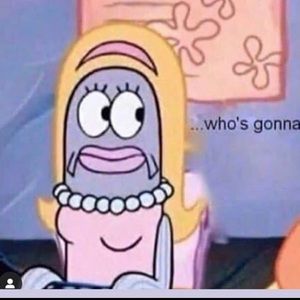 Meet your Posher, Bricetina